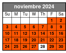 Semi-Private 8ppl Max. English noviembre Schedule
