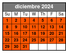 Tour in Spanish diciembre Schedule