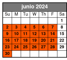 7-Days Electric Bike Rental junio Schedule