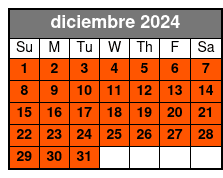 Option by Hour diciembre Schedule