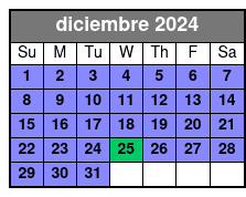 Standard Experience diciembre Schedule