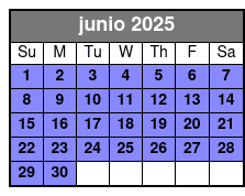 Standard(10 Pro Edited Photos) junio Schedule