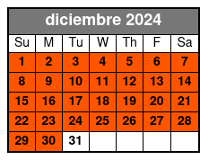 Option 1 diciembre Schedule