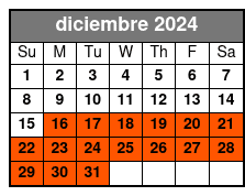 General diciembre Schedule