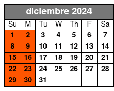 11am Departure diciembre Schedule