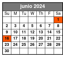 2pm Tour junio Schedule