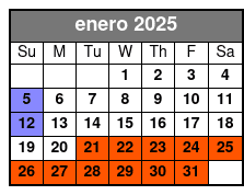 Skyline Tour enero Schedule