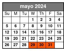Fully Guided (no 911 Museum) mayo Schedule