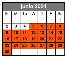 Fully Guided (no 911 Museum) junio Schedule