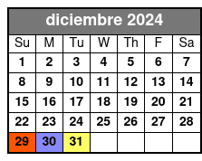 General diciembre Schedule