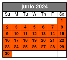 2-Hours EScooter Rental junio Schedule