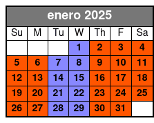 The Edge and St Patrick's enero Schedule