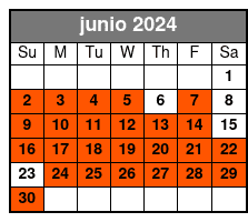 11am Tour junio Schedule