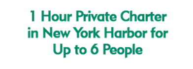 1 Hour Private Charter in New York Harbor for Up to 6 People