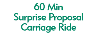 60 Min Surprise Proposal Carriage Ride 2024 Horario