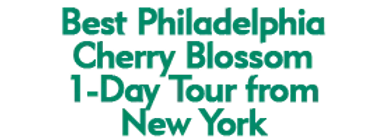 Cherry Blossoms & Cultural Day Tour: New York to Philadelphia