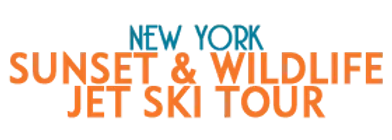 New York Sunset and Wildlife Jet Ski Tour Schedule
