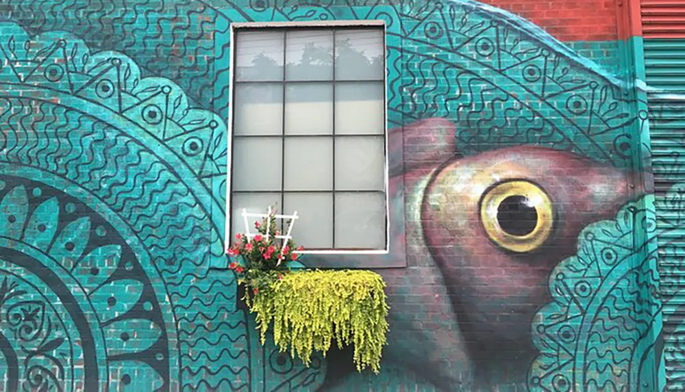 This image shows a vibrant street art mural featuring a large stylized eye with a real window incorporated into the design complemented by live plants on a window sill