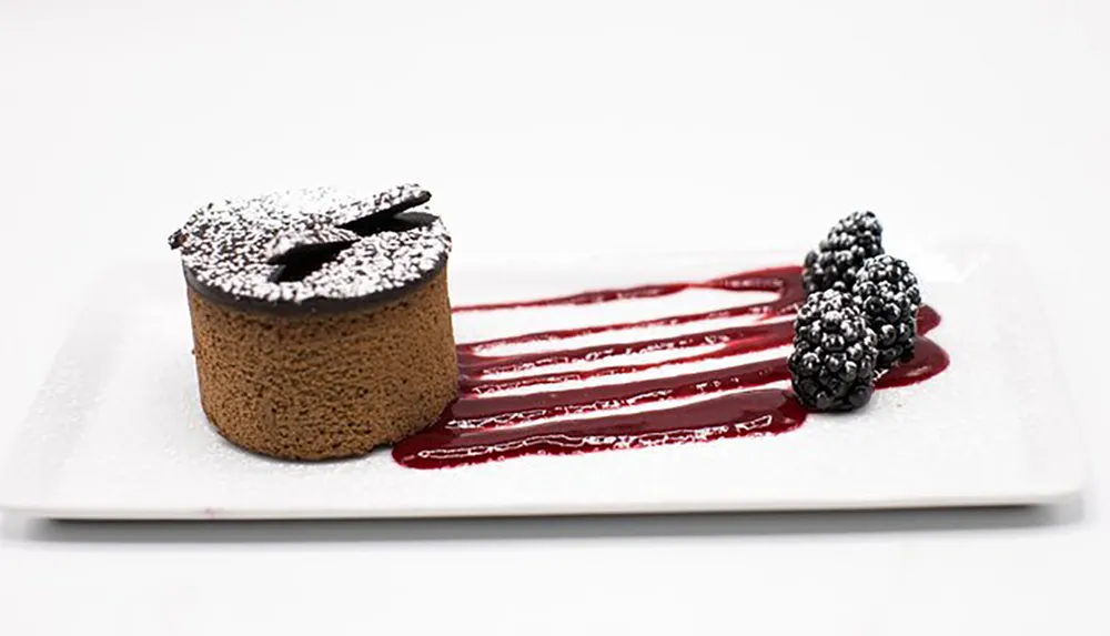 The image shows an elegantly plated dessert featuring a chocolate molten lava cake dusted with powdered sugar accompanied by a streak of red fruit coulis and garnished with fresh blackberries on a white rectangular plate