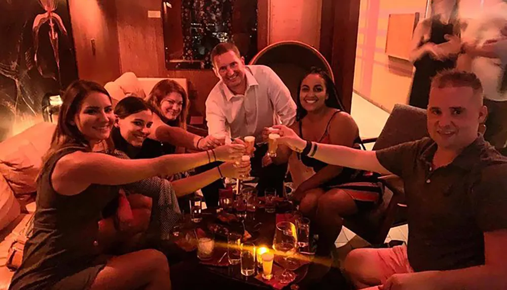 A group of people are smiling and toasting with drinks in a dimly lit room conveying a sense of celebration or social gathering