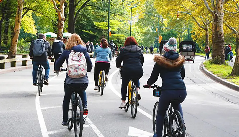 A group of people are riding bicycles on a road lined with trees and pedestrians suggesting an urban park setting