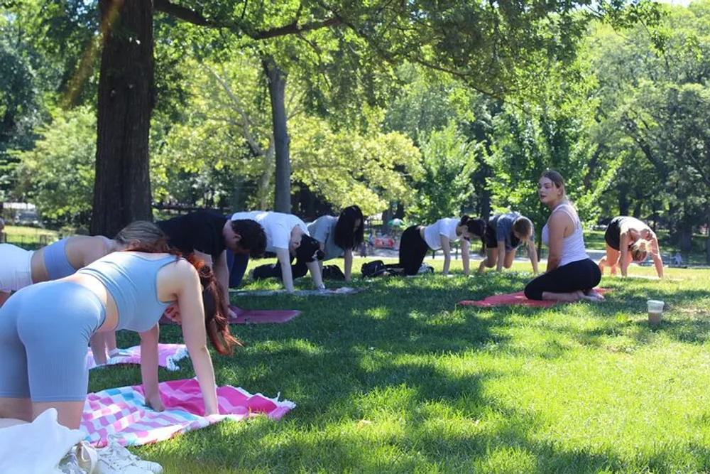 A group of people are participating in an outdoor yoga class in a park on a sunny day