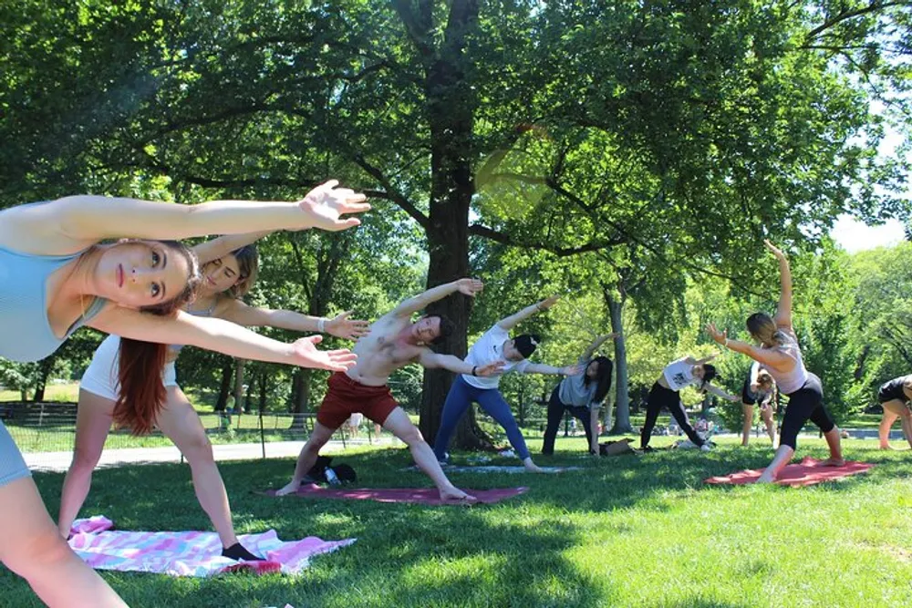 A group of people is participating in an outdoor yoga class in a park on a sunny day