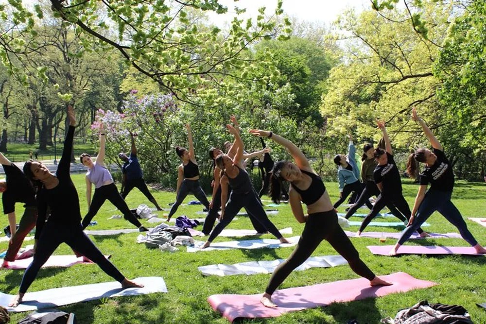 A group of people is participating in an outdoor yoga class in a park with lush greenery