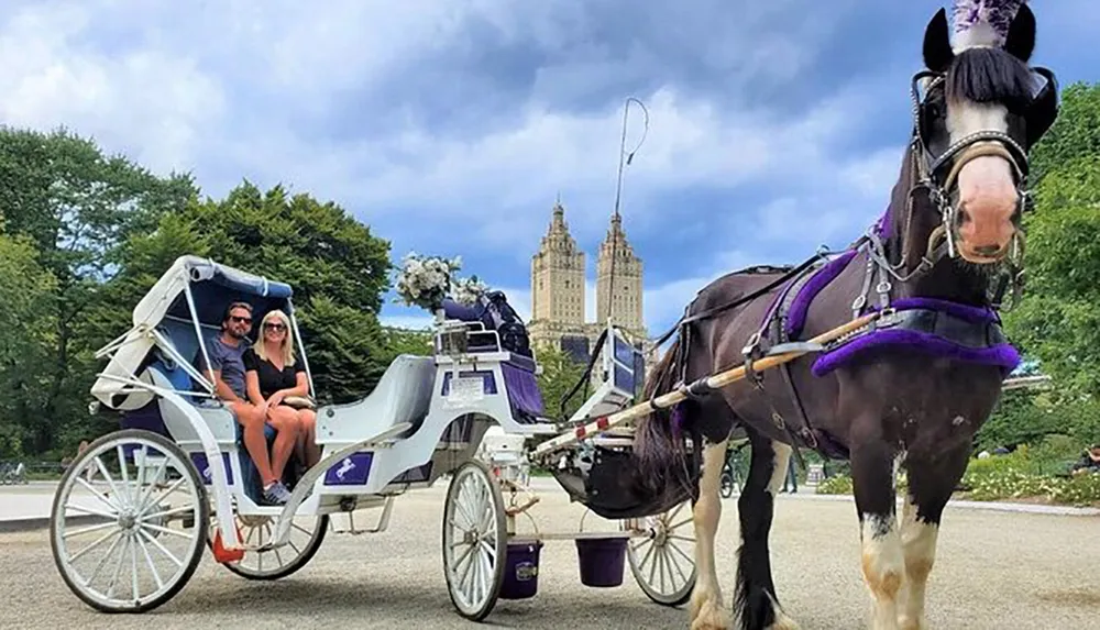 A couple enjoys a carriage ride led by a horse adorned in purple accessories with a backdrop of iconic towers