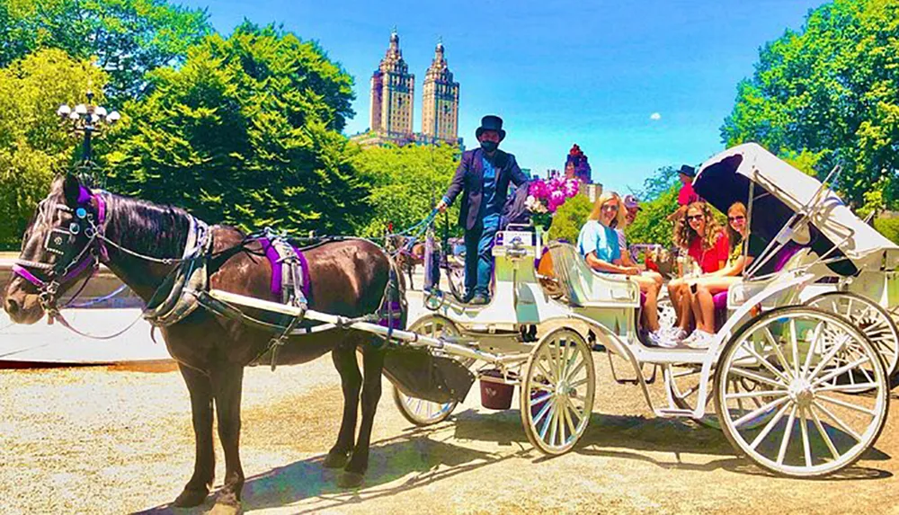 People enjoy a sunny day carriage ride in a park with a view of tall buildings in the background