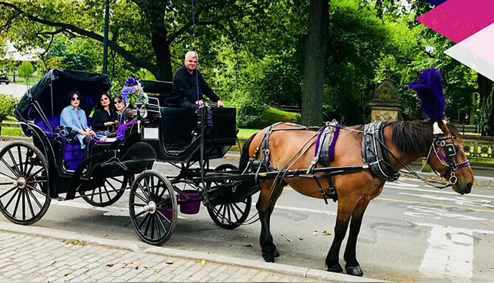 A horse-drawn carriage with passengers and a driver is moving through a park-like setting