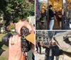 A photographer is capturing a scene featuring a lion statue with various other classical statues and a garden in the background