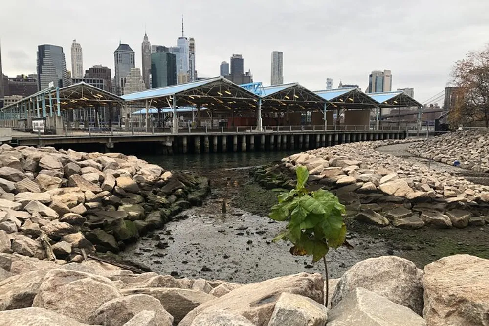 An overcast day frames a view of a rocky shore leading to an urban pier with the skyline of a city in the background