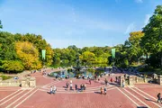 This image shows a bustling Bethesda Terrace overlooking the Bethesda Fountain in Central Park, New York City, with people enjoying a sunny day amidst the changing colors of autumn leaves.