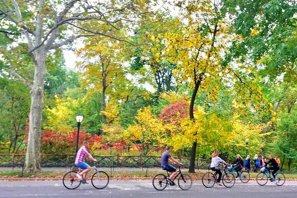The image shows people cycling along a pathway with colorful autumn trees in the background