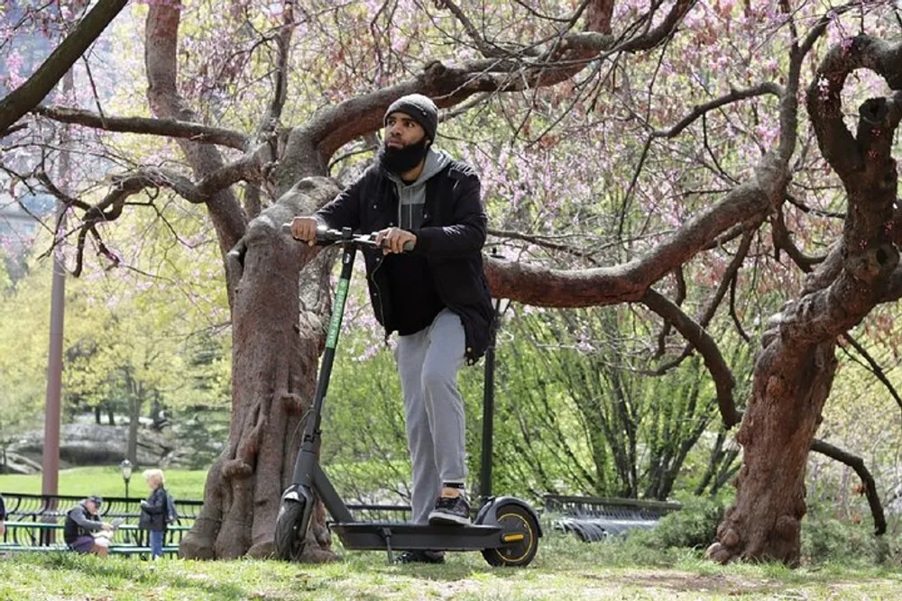 A person is riding an electric scooter under blooming cherry blossom trees in a park