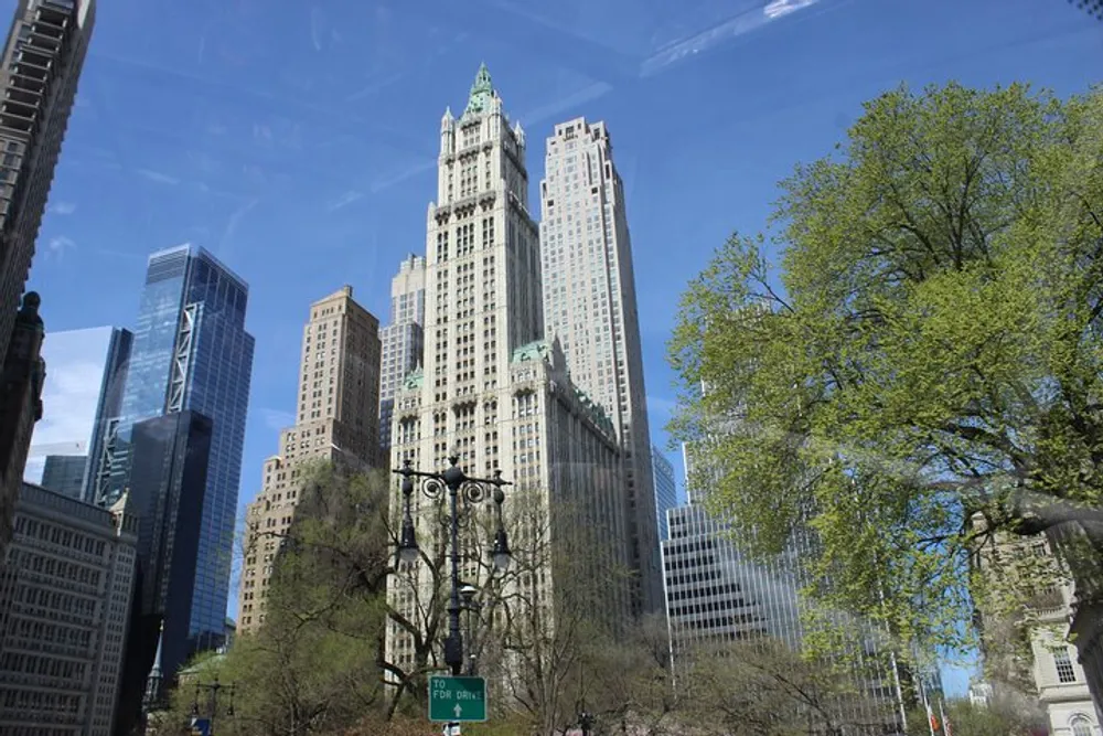 The image shows a view of towering skyscrapers above vibrant green trees under a clear blue sky possibly in a citys downtown area