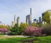 A lush green park with blooming trees in the foreground contrasts with the backdrop of a modern urban skyline