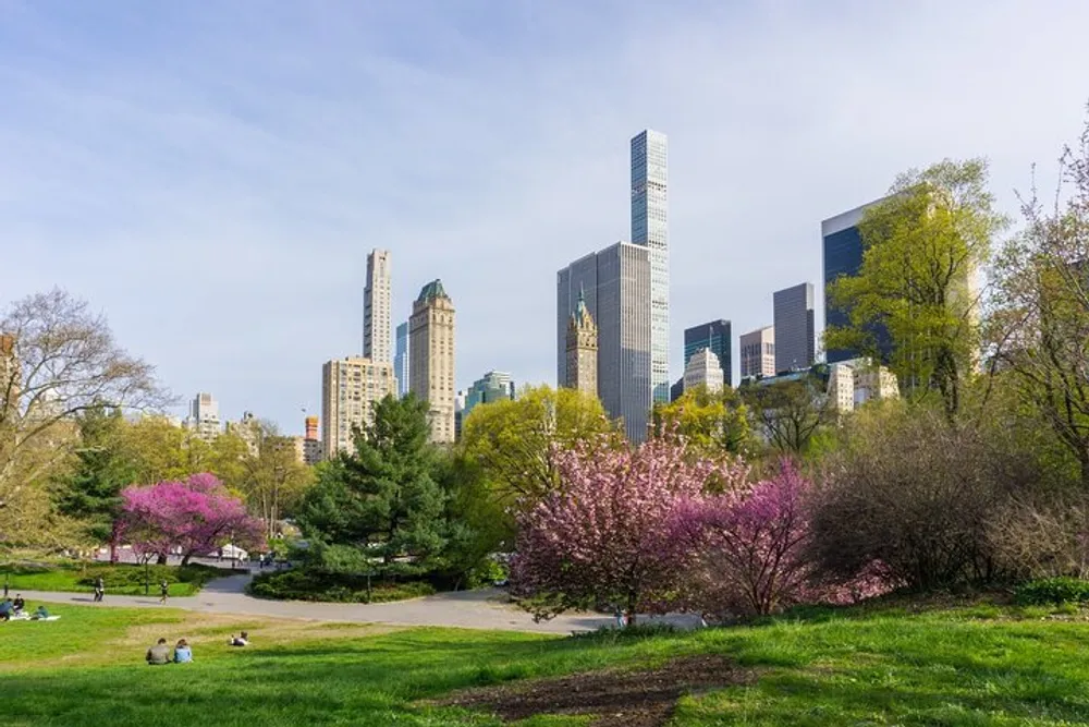 A lush green park with blooming trees in the foreground contrasts with the backdrop of a modern urban skyline