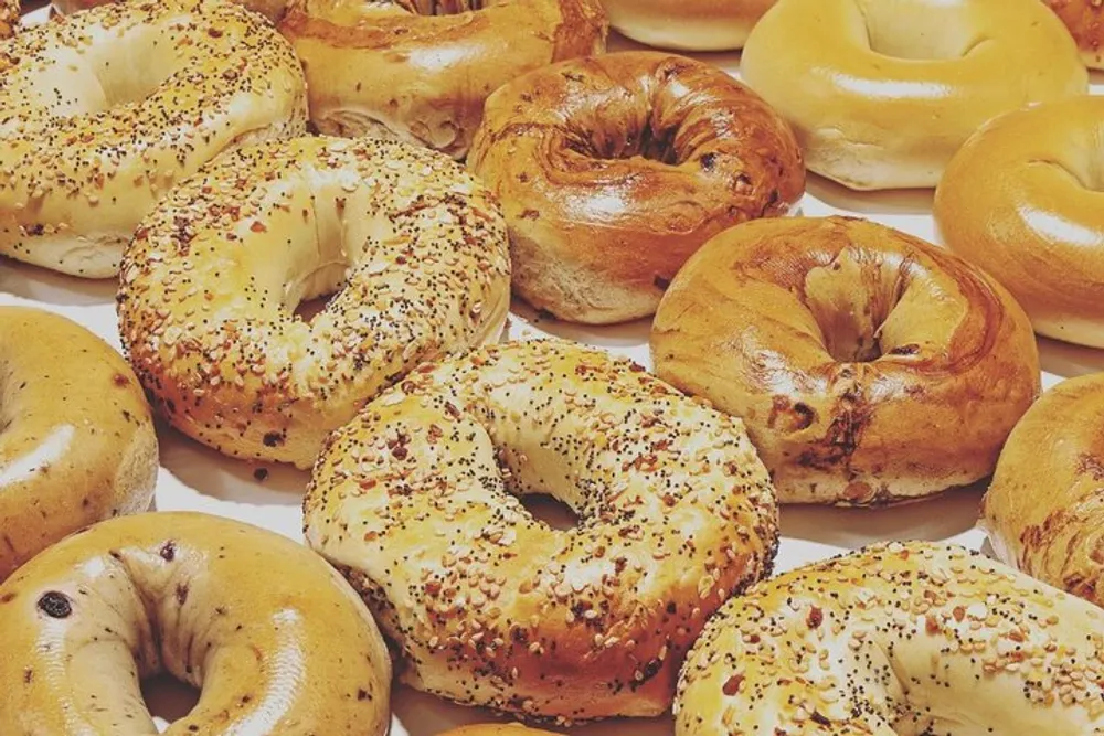 The image shows an assortment of freshly baked bagels with various toppings such as seeds and spices