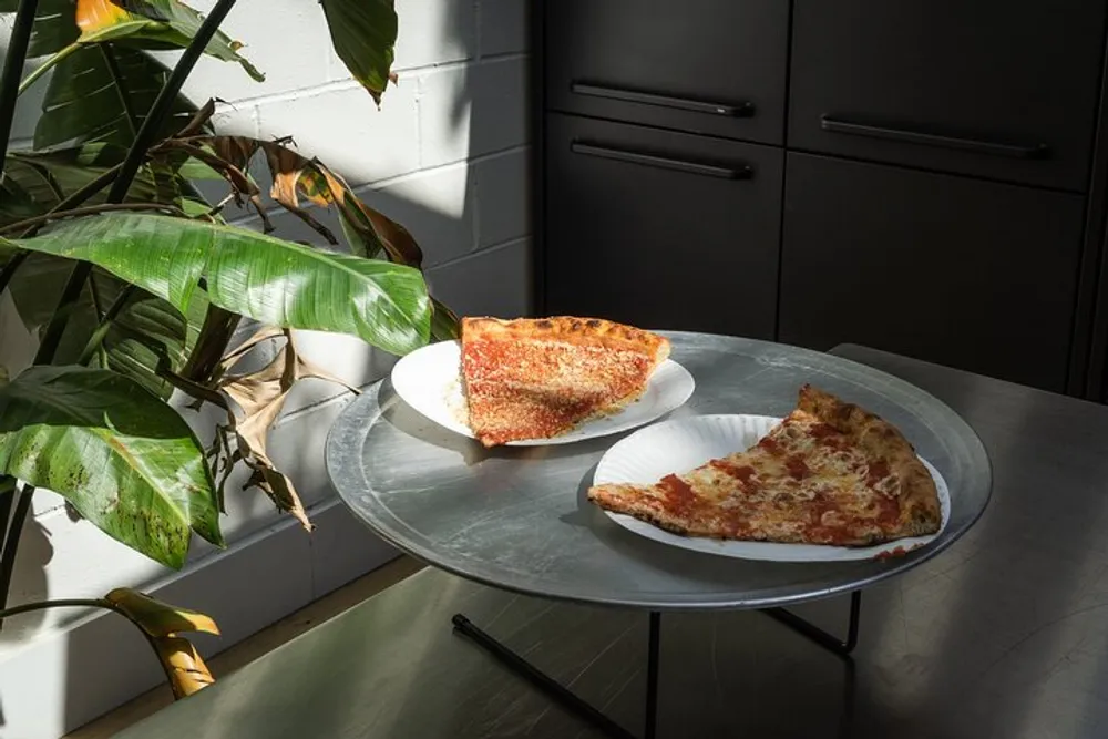 Two slices of pizza on paper plates are on a small round table illuminated by sunlight with a large green plant nearby and dark-colored kitchen cabinets in the background