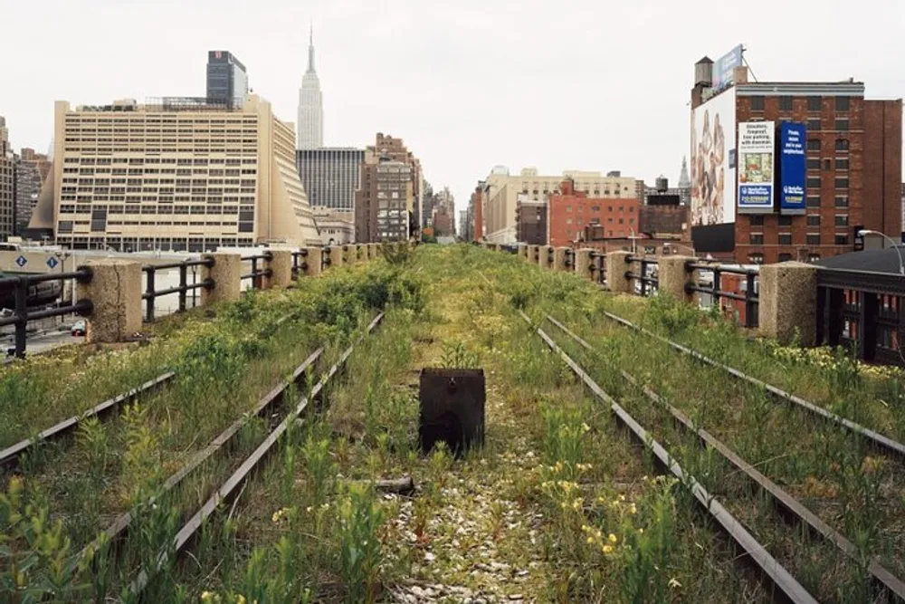 The image shows an overgrown disused elevated railway track in an urban setting with skyscrapers in the background depicting a contrast between nature and the built environment