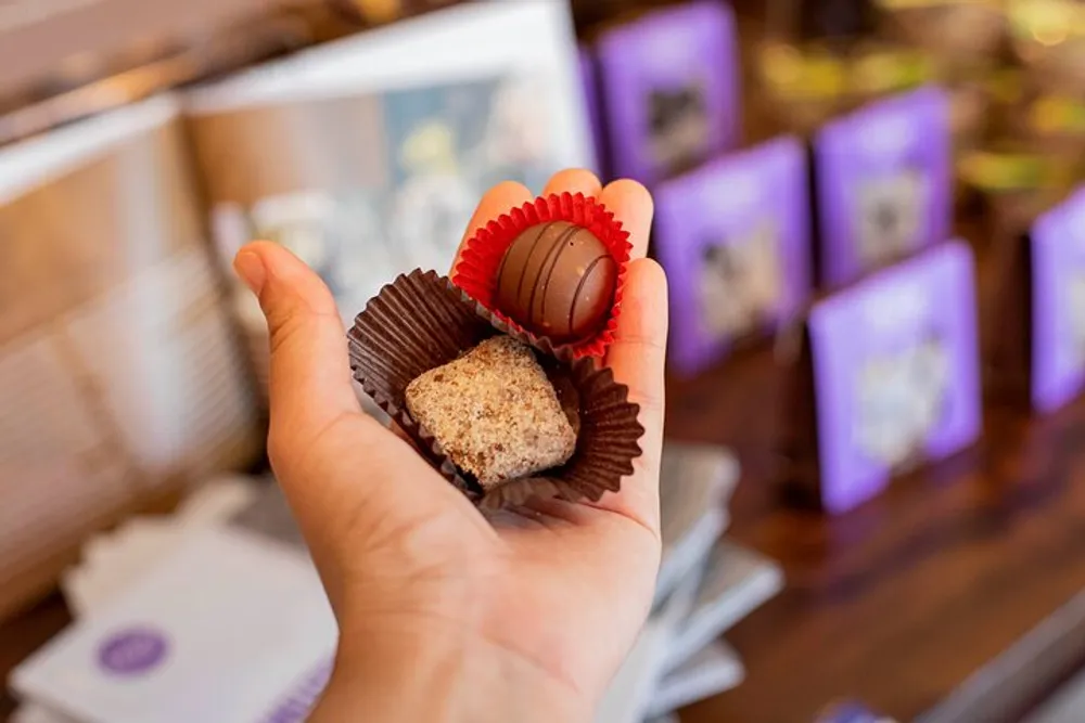 A persons hand is holding two pieces of confectionery a chocolate truffle and a square brown treat both in ruffled paper cups