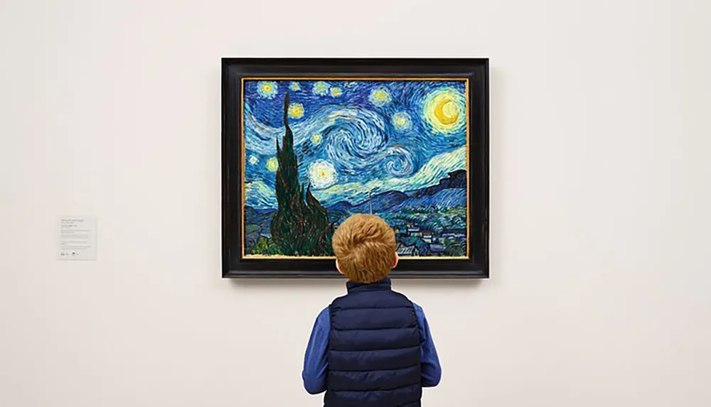 A child is observing Vincent van Goghs famous painting The Starry Night at a gallery