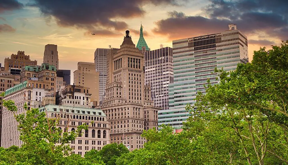 This image features a view of dense urban buildings likely from a citys downtown area with a foreground of lush green trees and a sunset-tinted sky in the background