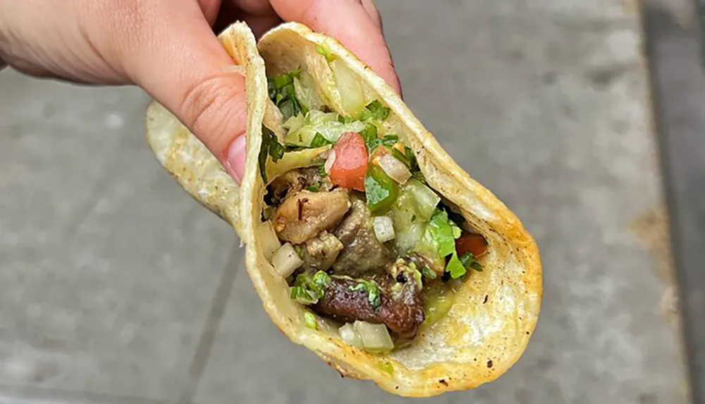 A hand is holding a taco filled with grilled meat and fresh toppings