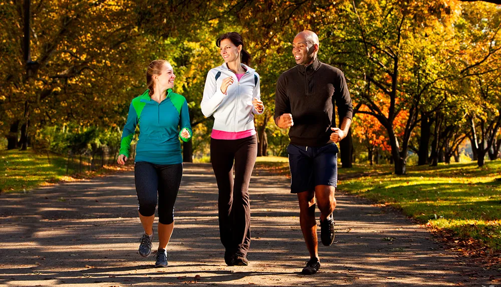 Three people are enjoying a jog together on a sunny autumn day among rows of trees with colorful fall foliage