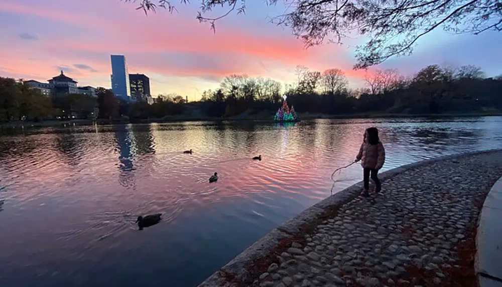 A child looks out over a tranquil urban lake at dusk where ducks are swimming and a colorful sunset sky reflects on the water with trees silhouetted against the twilight and a lit structure resembling a Christmas tree in the distance