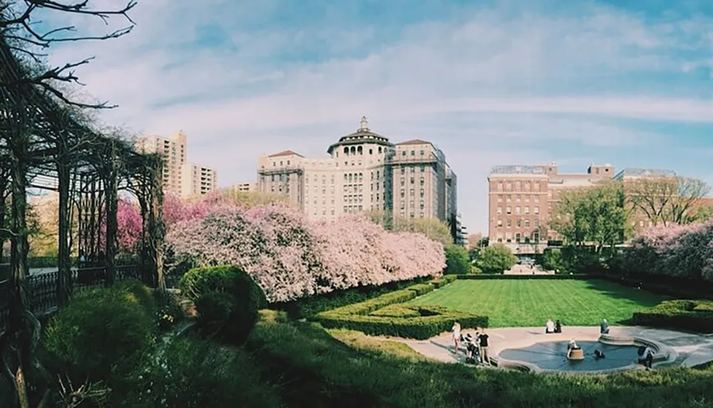 This image shows a lush springtime park scene with blooming pink trees a manicured lawn and people gathered around a fountain framed by stately buildings in the background