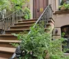 The image shows the front steps of a New York City brownstone with ornate iron railings and greenery capturing a quintessential urban residential scene